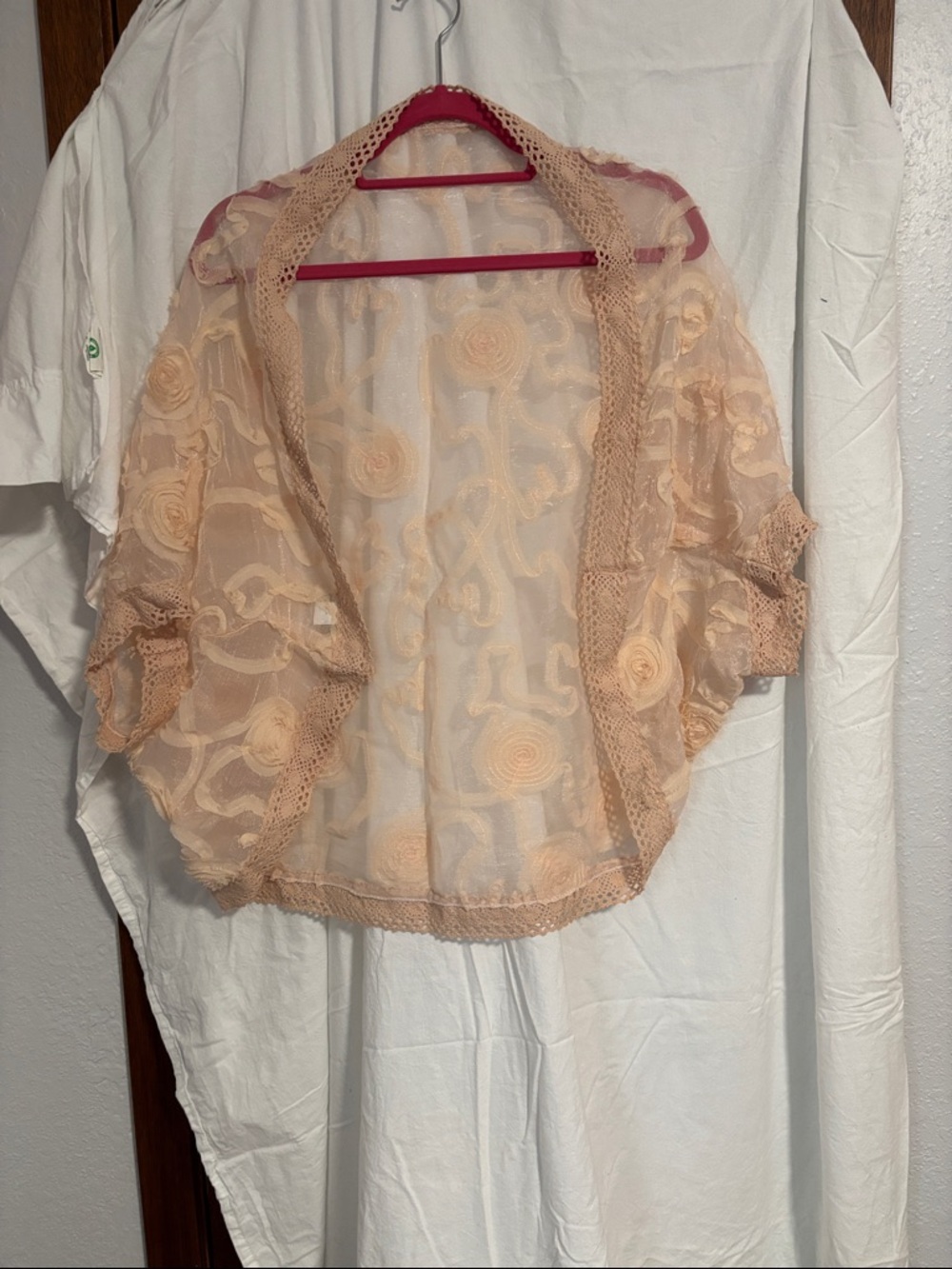 2 Chic Sheer Floral Lace Shrug in Beige